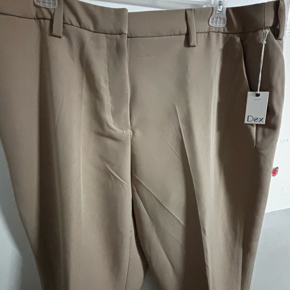 Women Plus Tan Pants